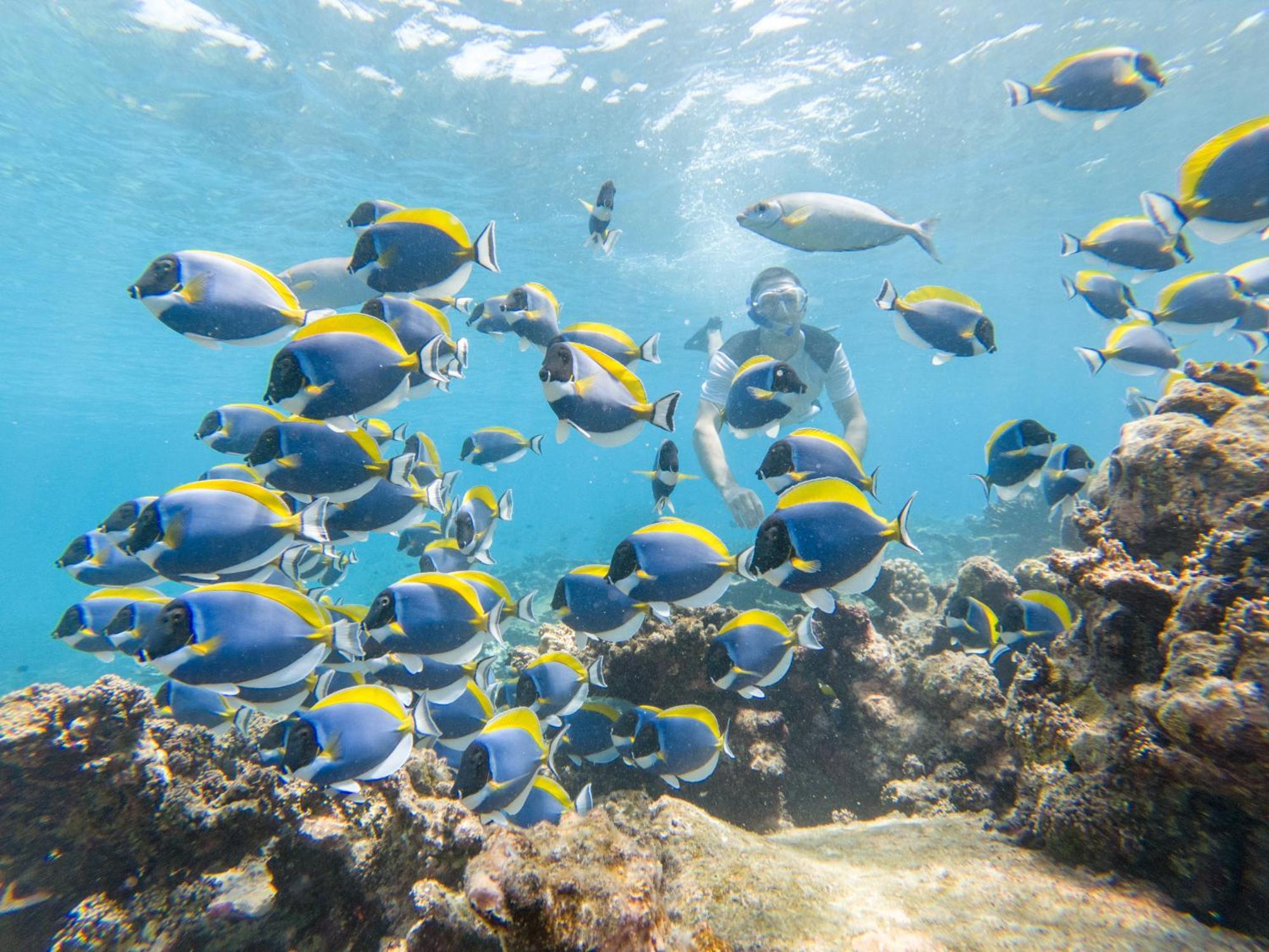 Ukulhas Villa Oceanview Hotel & Spa エクステリア 写真