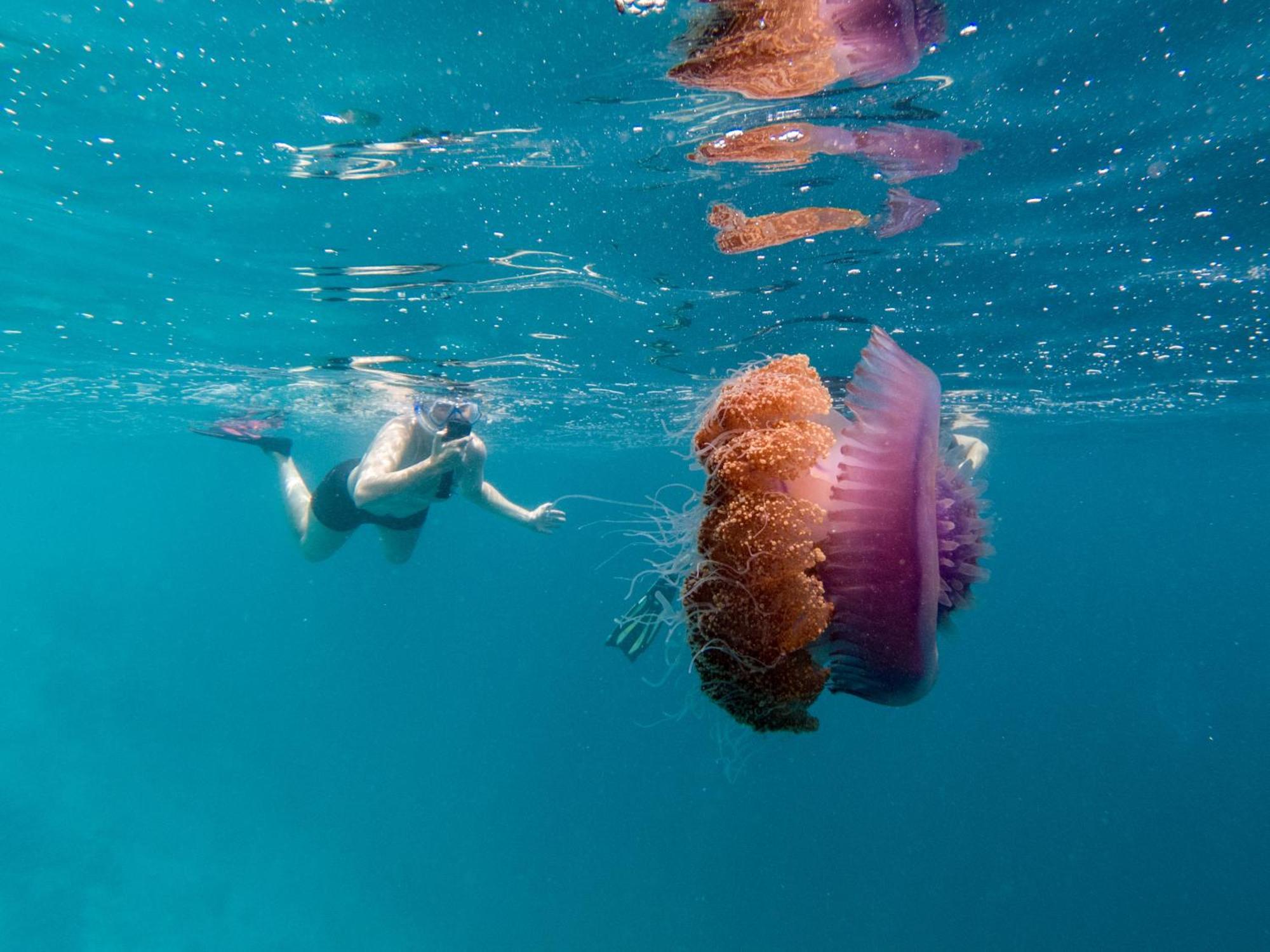 Ukulhas Villa Oceanview Hotel & Spa エクステリア 写真