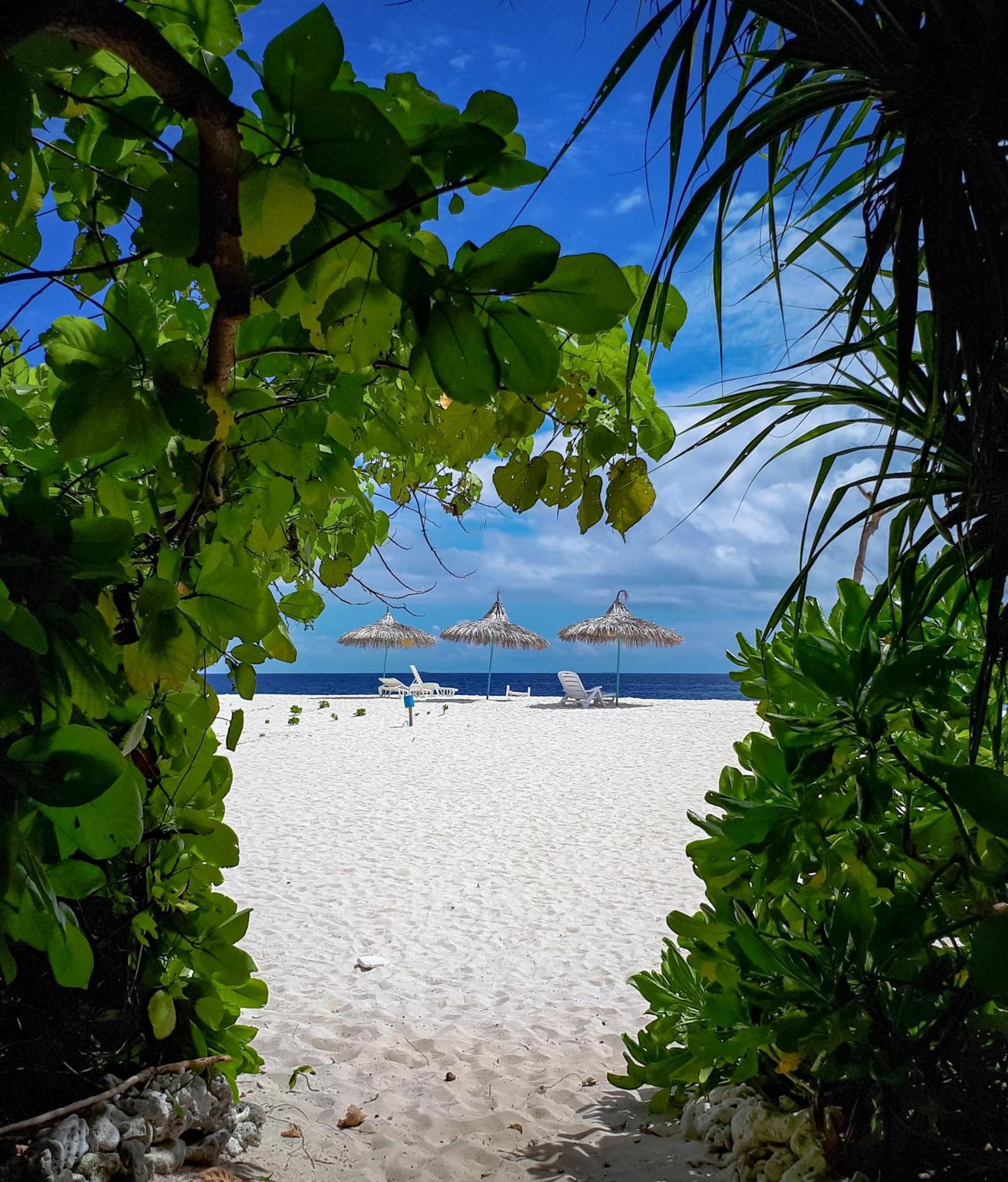 Ukulhas Villa Oceanview Hotel & Spa エクステリア 写真